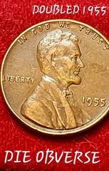 1955 double die Obverse Wheat Cent 💰🌾 #Coin #Collection #History #Cent
