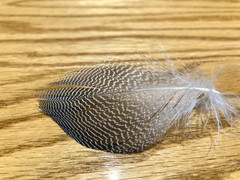 100 Gadwall Flank Feathers – Fly Tying